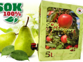 Naturalnie mętny 100% Sok Jabłkowo Gruszkowy 5l marki Jabłko Siedleckie - JABŁKO SIEDLECKIE Sp. z o.o.