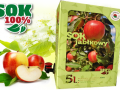 Naturalnie mętny 100% Sok Jabłkowy 5l marki Jabłko Siedleckie - JABŁKO SIEDLECKIE Sp. z o.o.